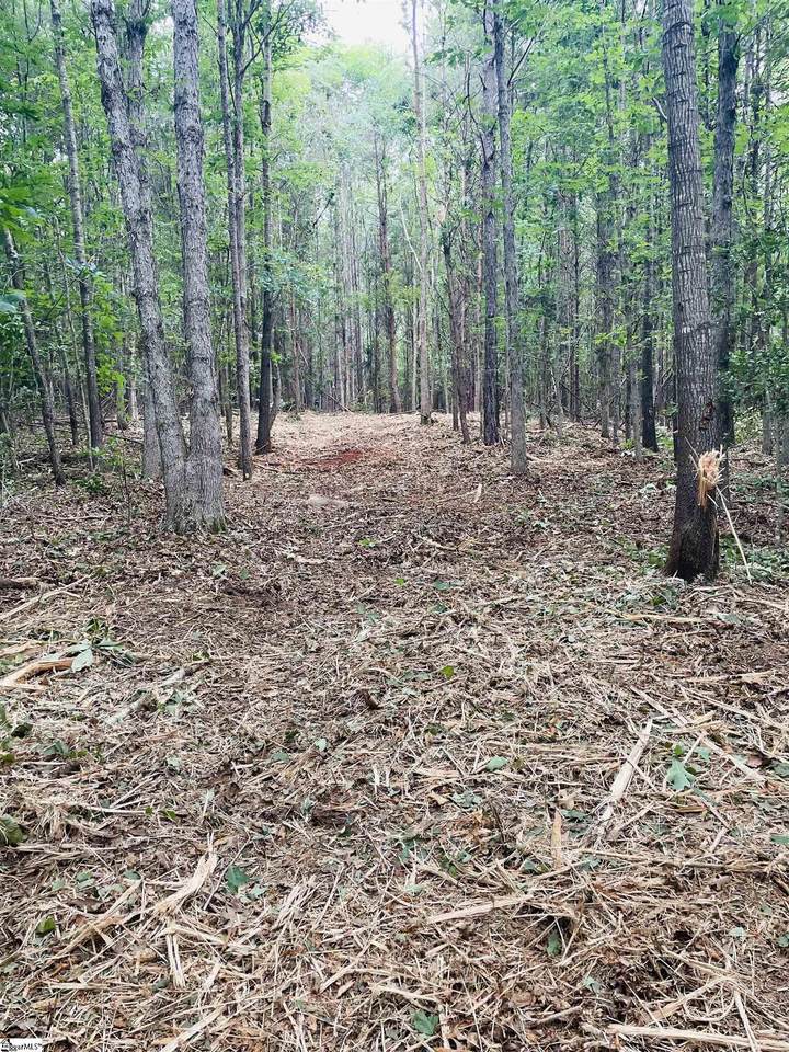 00 Greenville Highway - Photo 1
