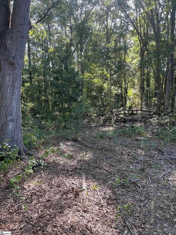 208 Clemson Avenue - Photo 1