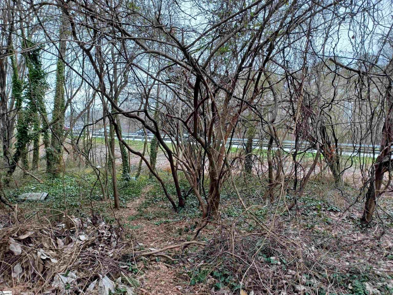 203 Magnolia Terrace - Photo 1