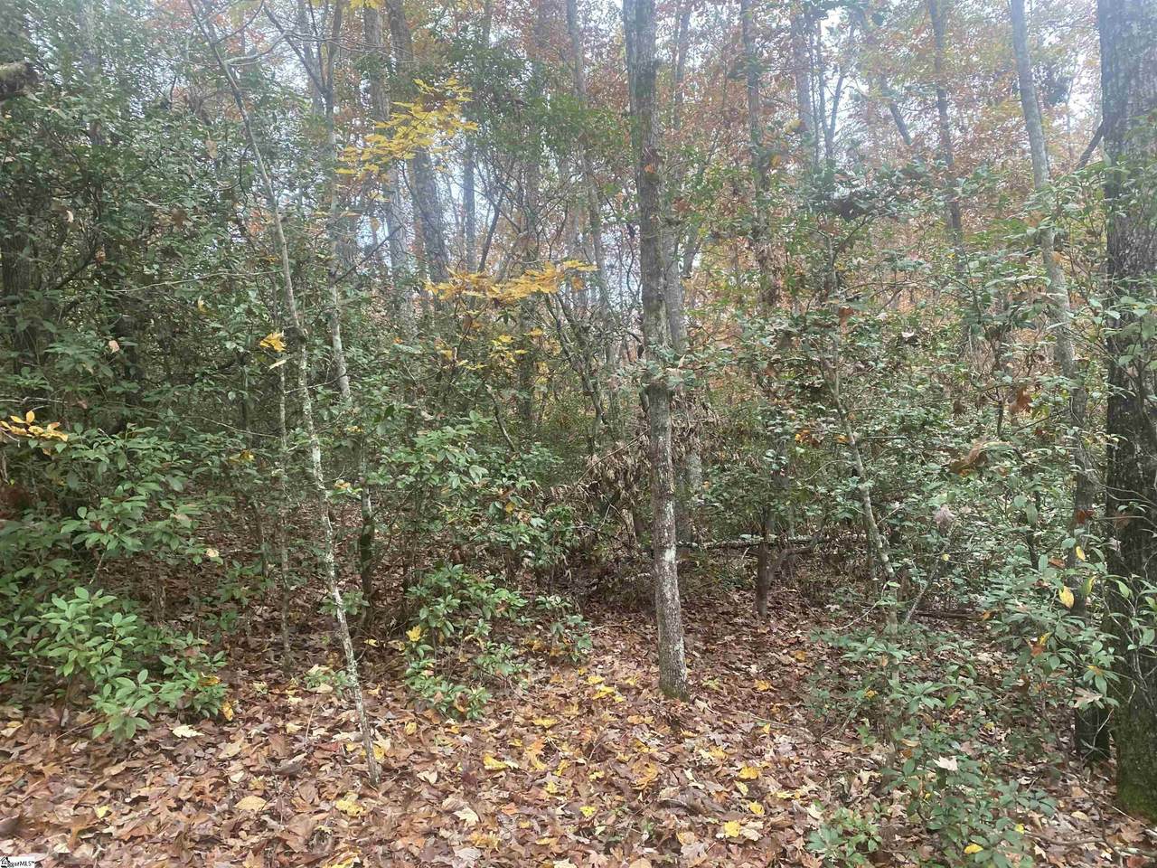 00 Castle Creek Drive - Photo 1