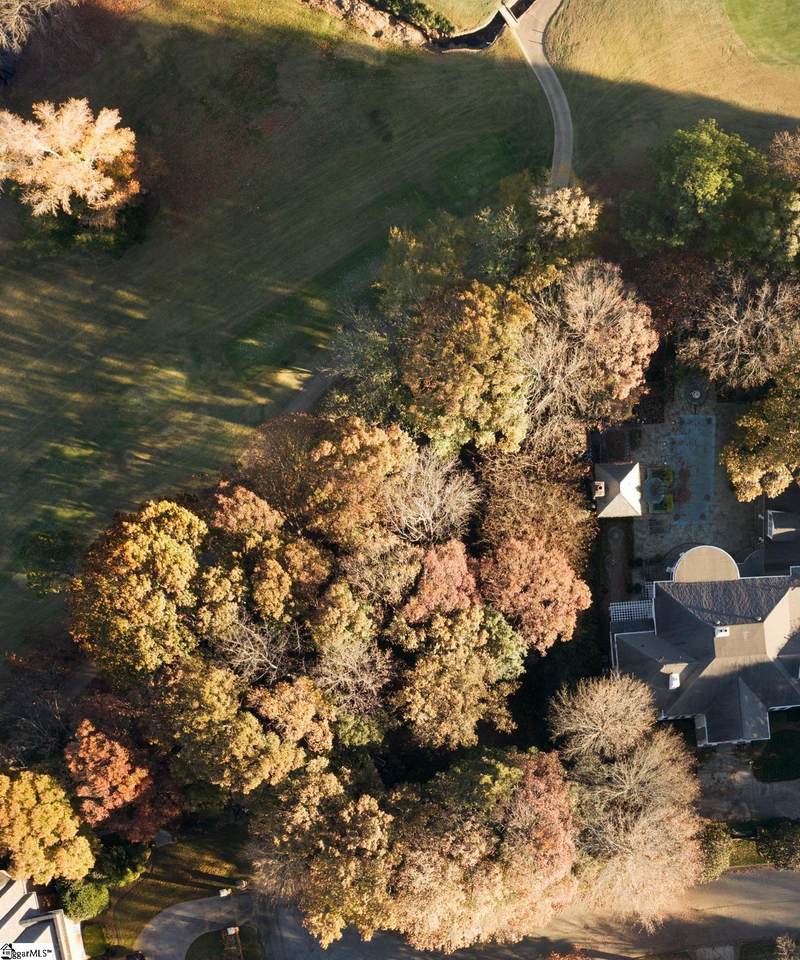 Dominick Court - Photo 1
