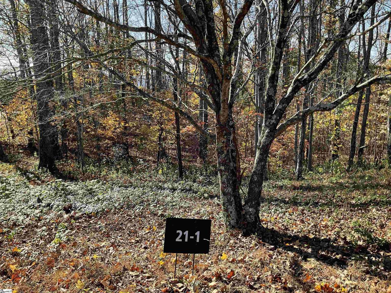 0 Plumley Summit Road - Photo 1