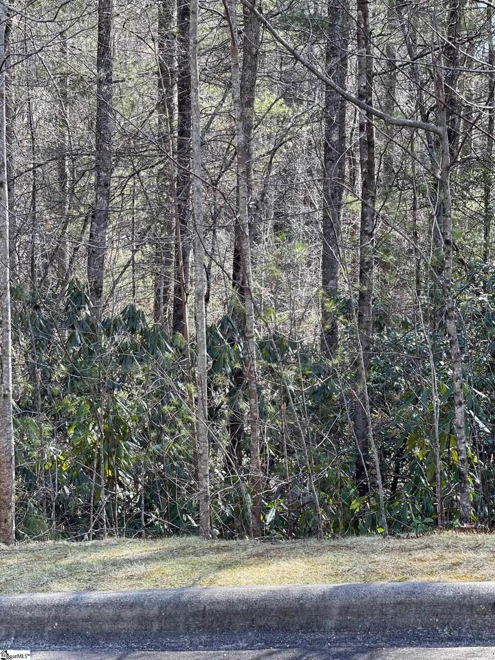 00 Blueberry Hill Road - Photo 1