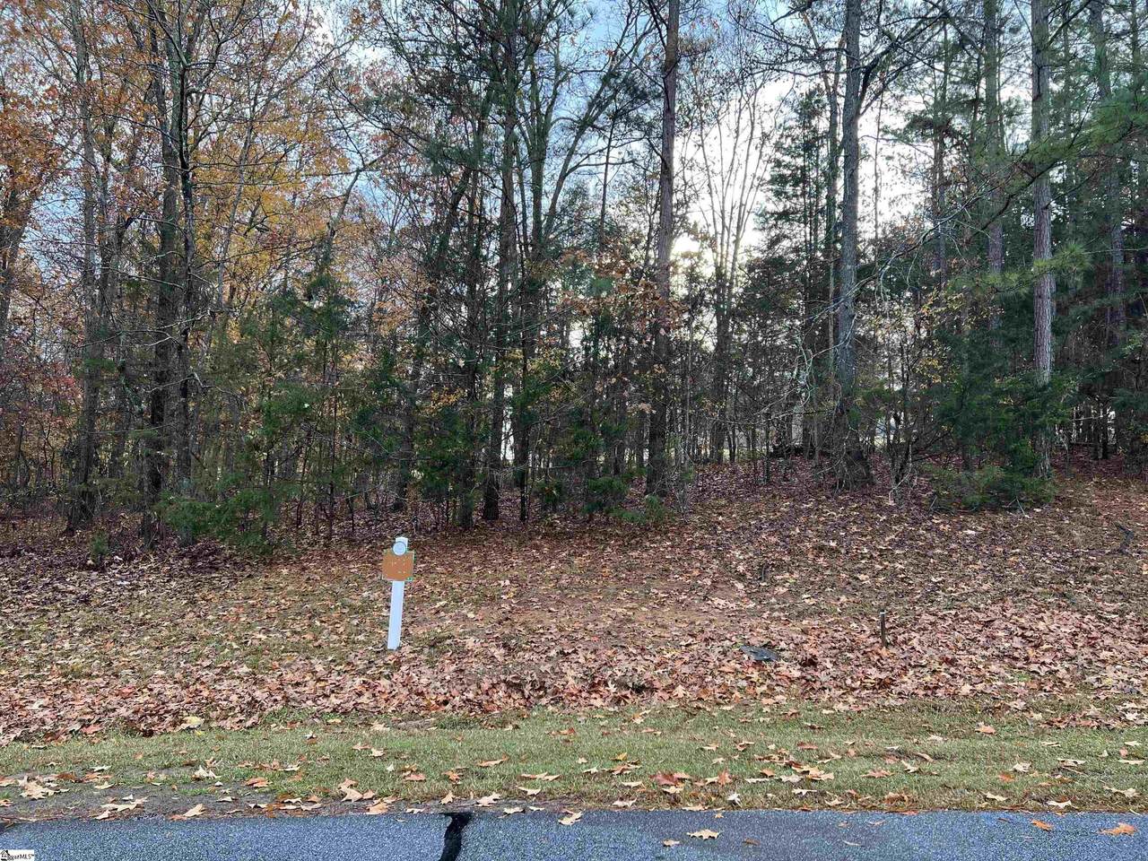 509 Swing About - Photo 1