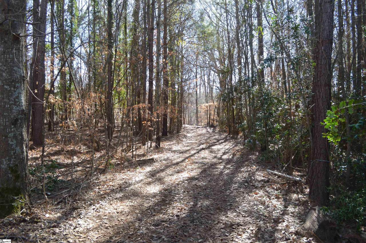 320 Emily Lane - Photo 1