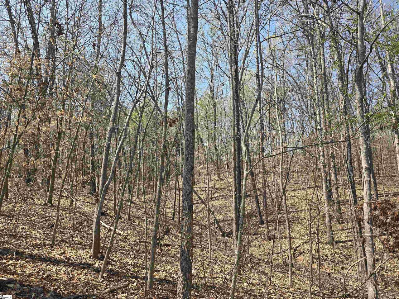 759 Durham Brown Road - Photo 1