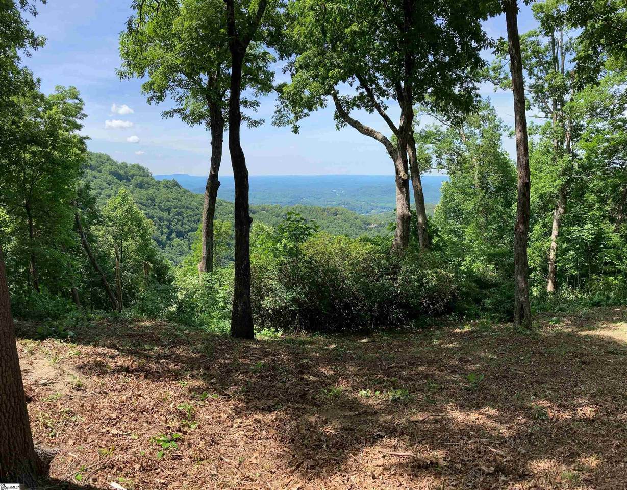 1399 Mountain Summit Road - Photo 1