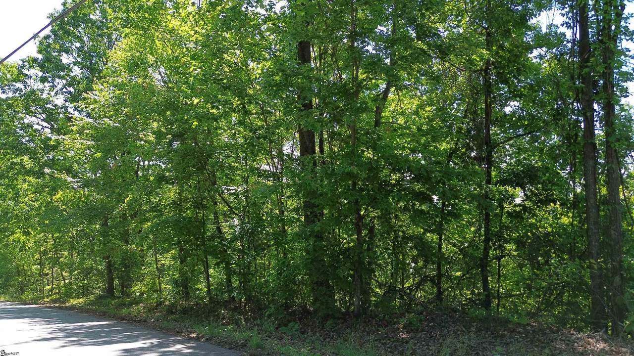 611 Packs Mountain Ridge Road - Photo 1