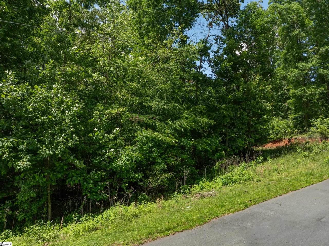 0 Brandywine Drive - Photo 1