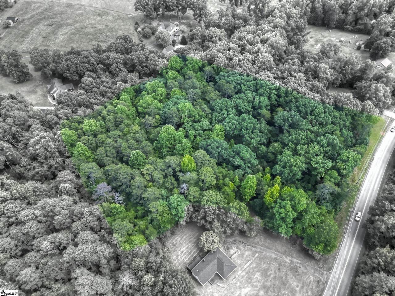 Tract 1 Tigerville Road - Photo 1