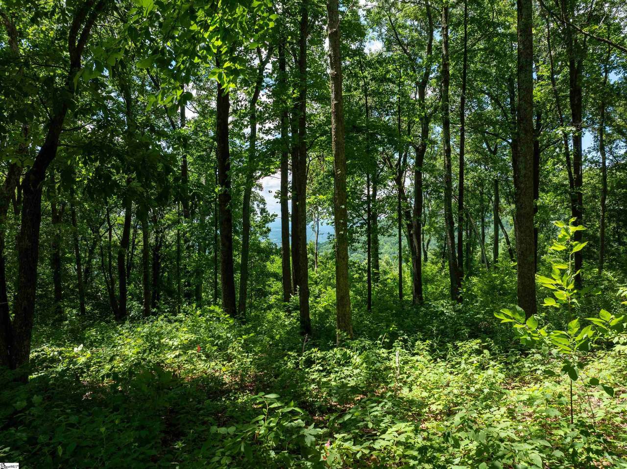 https://bt-photos.global.ssl.fastly.net/ggar/1280_boomver_1_1562389-2.jpg