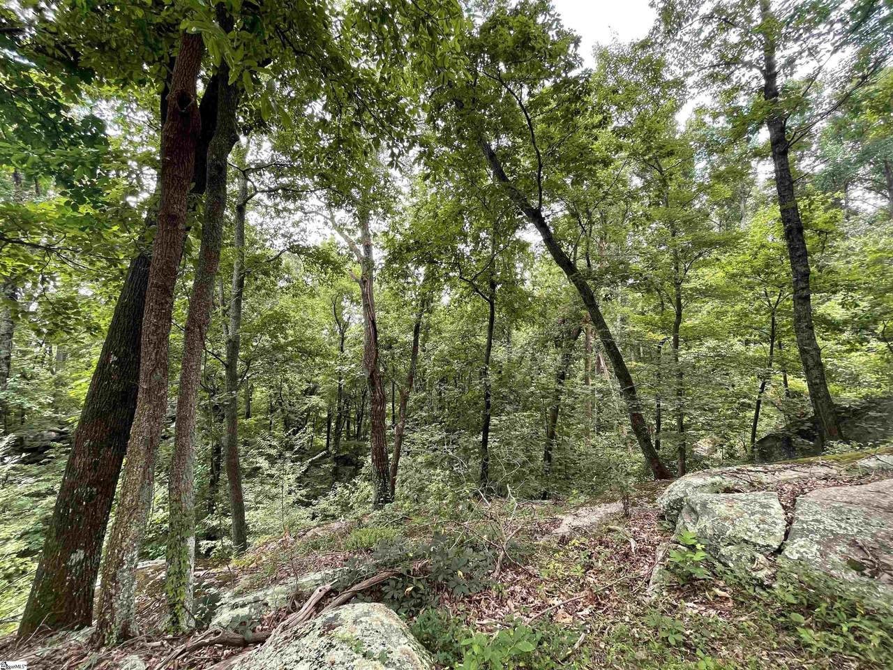 0 Pine Shadow Lane - Photo 1