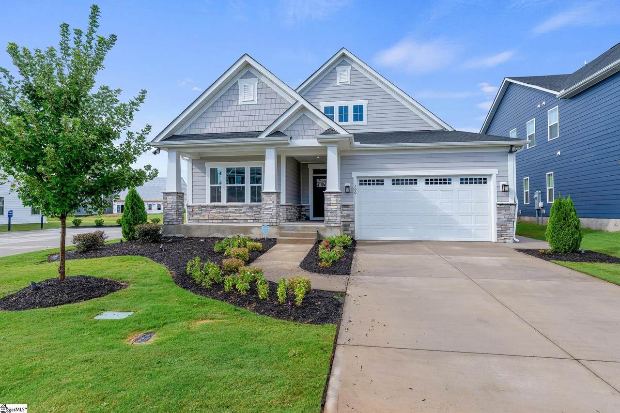 790 Lady Fern Drive - Photo 1