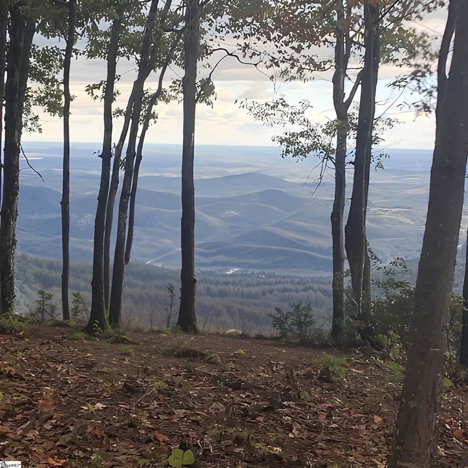 00 Mackerel Mountain Road - Photo 1