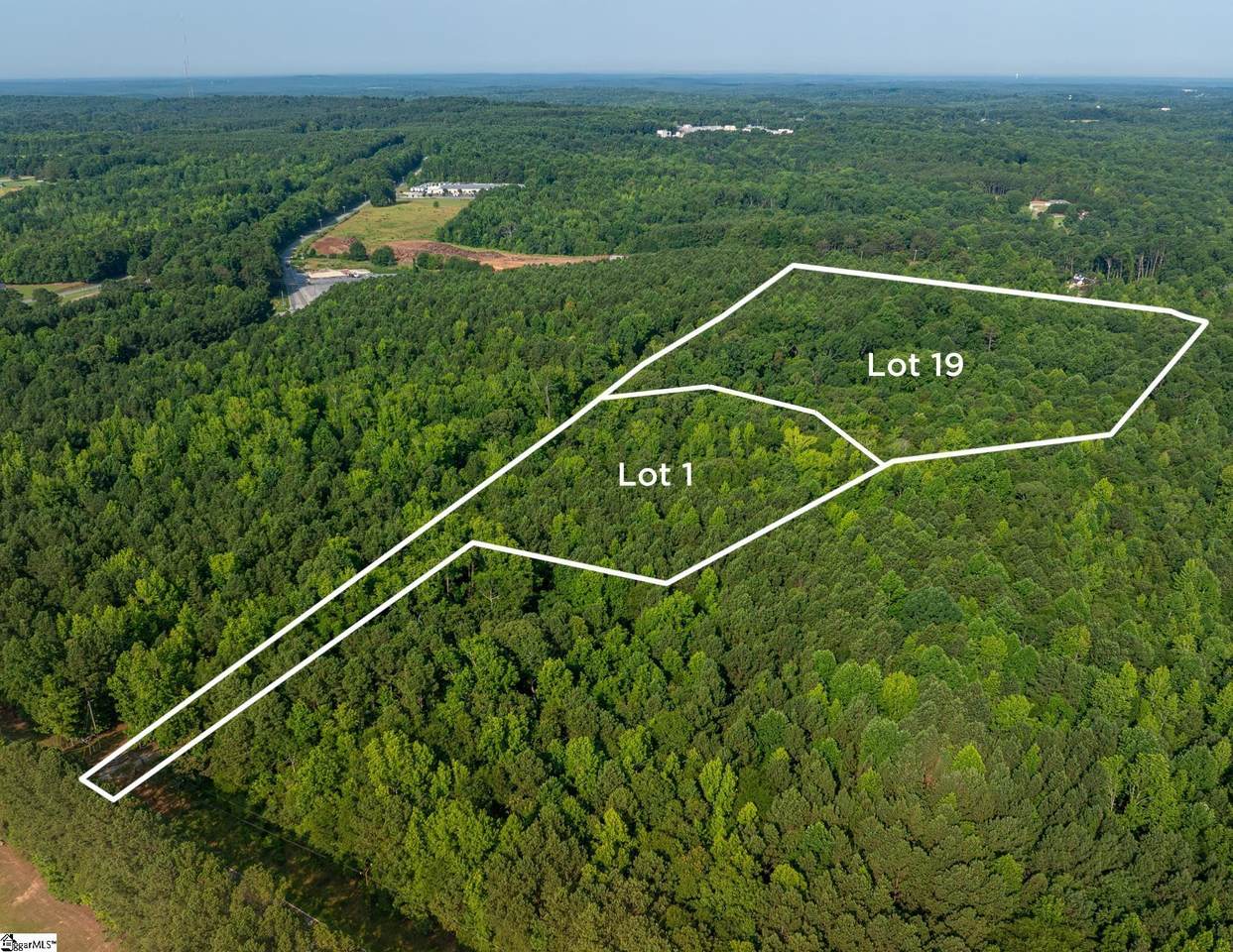 019 Goldmine Road - Photo 1