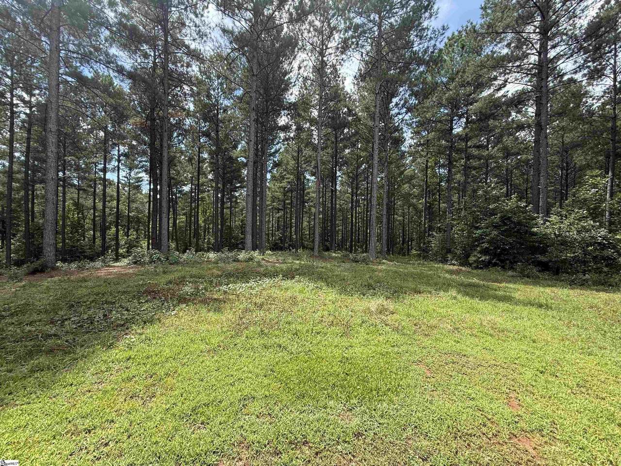 0 High Pines Drive - Photo 1