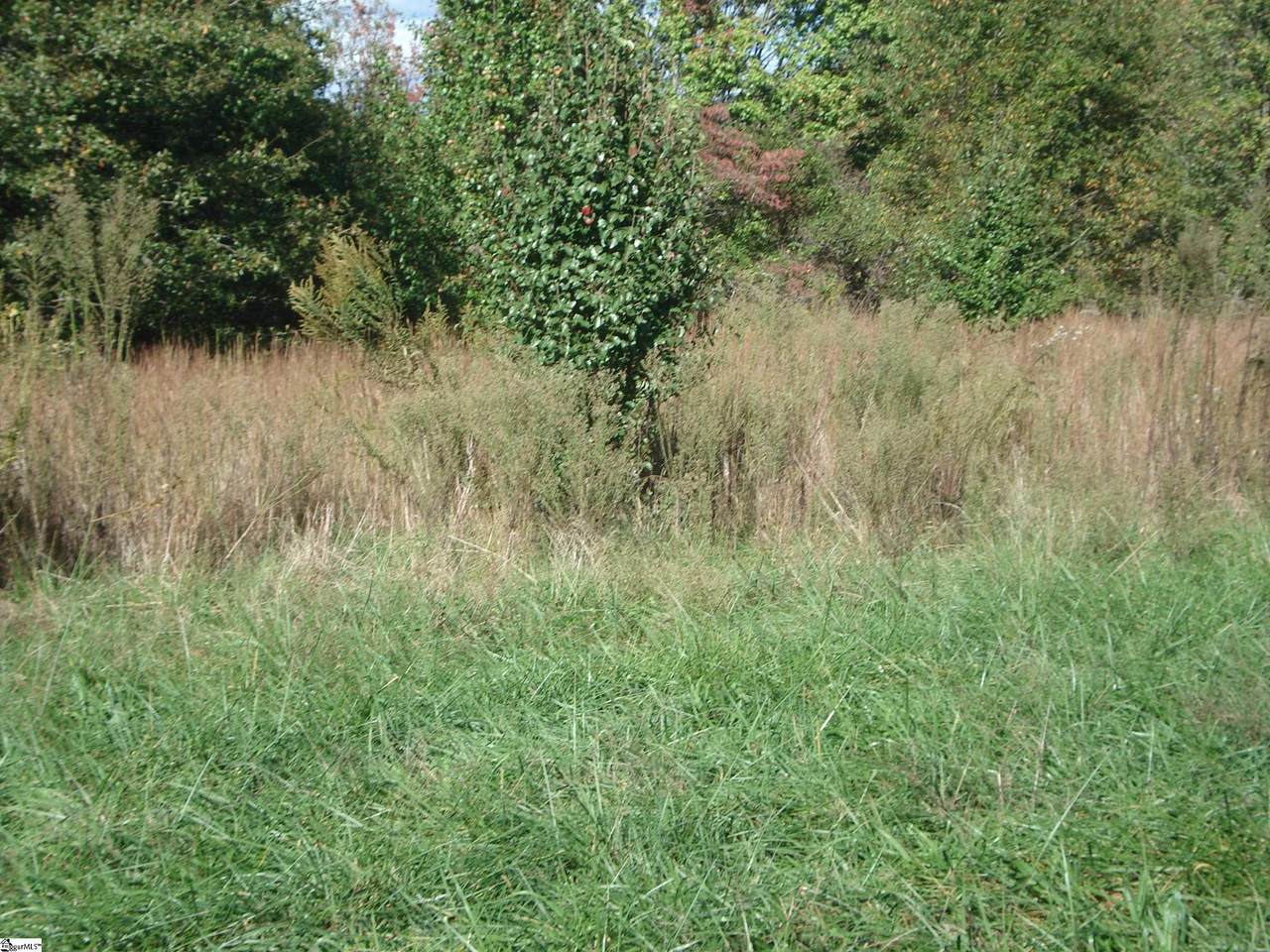 5728 Reidville Road - Photo 1