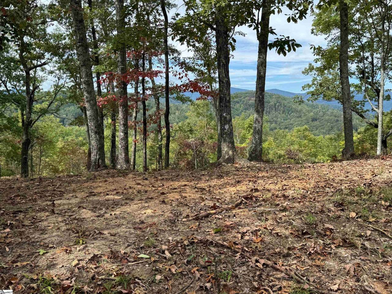 230 Blue Bonnet Trail - Photo 1