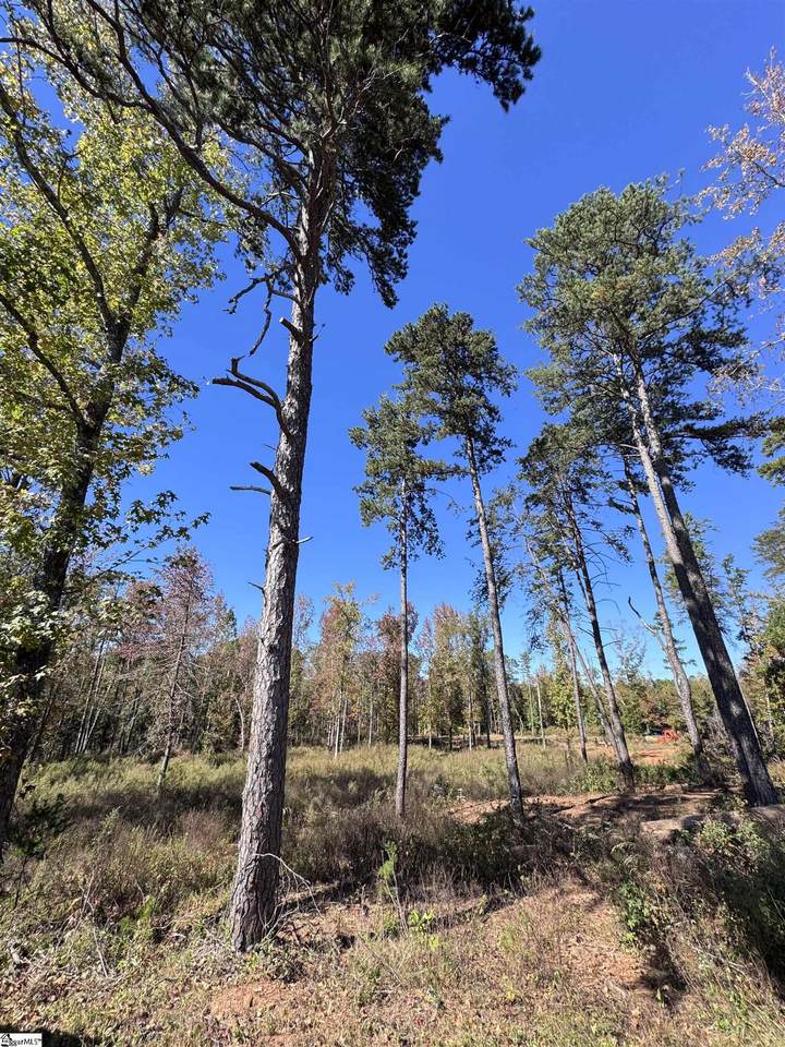 00 Kondros Circle - Photo 1