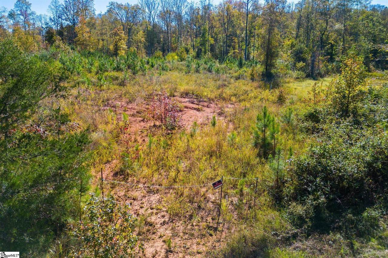 00 Mount Shoals Road - Photo 1