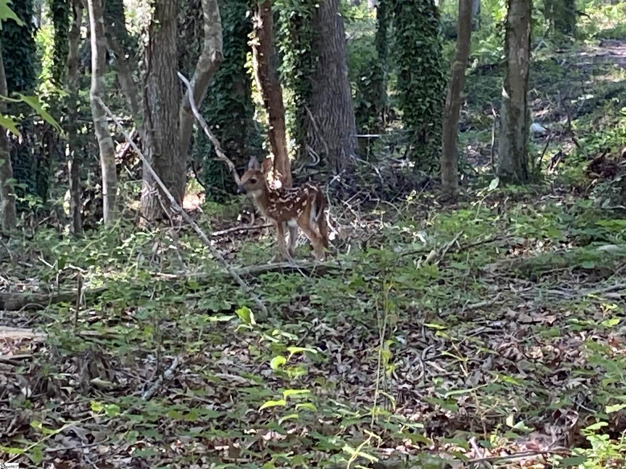 1 Mcgee Street - Photo 1