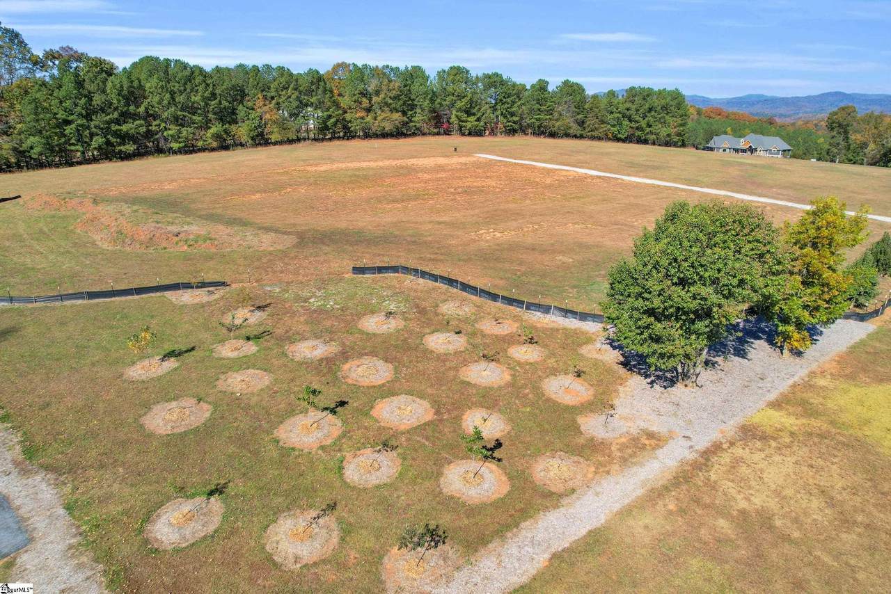 137 Dogwood Boulevard - Photo 1