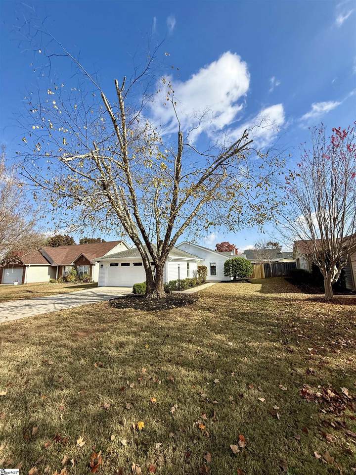 105 Peccole Pass Lane - Photo 1