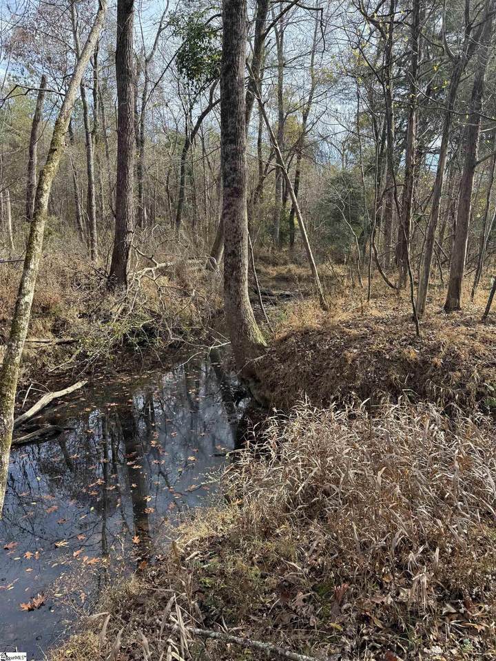 6776 Columbia Highway - Photo 1