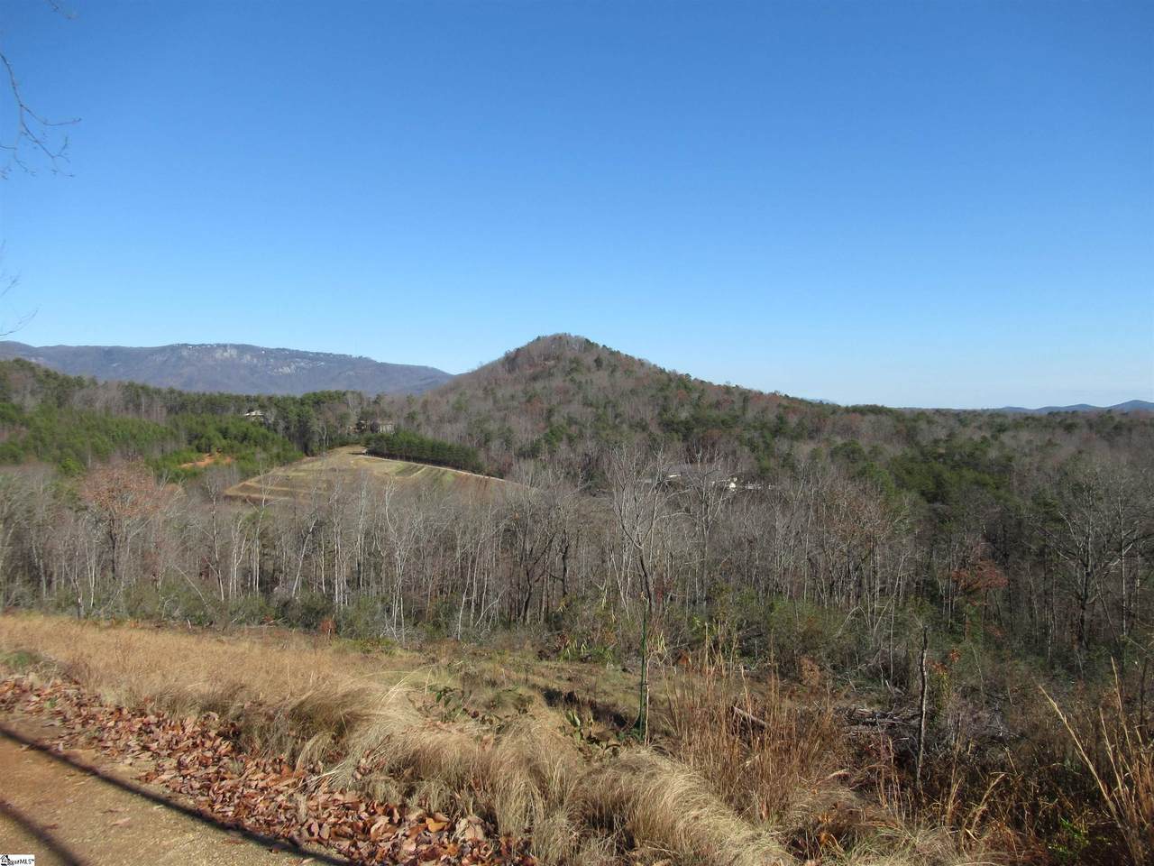 Tracts 34,35,36 Curts Way - Photo 1