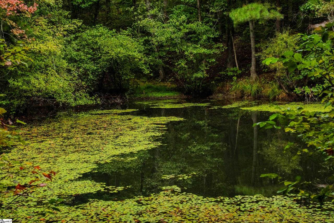  S. Packs Mtn Road - Photo 1