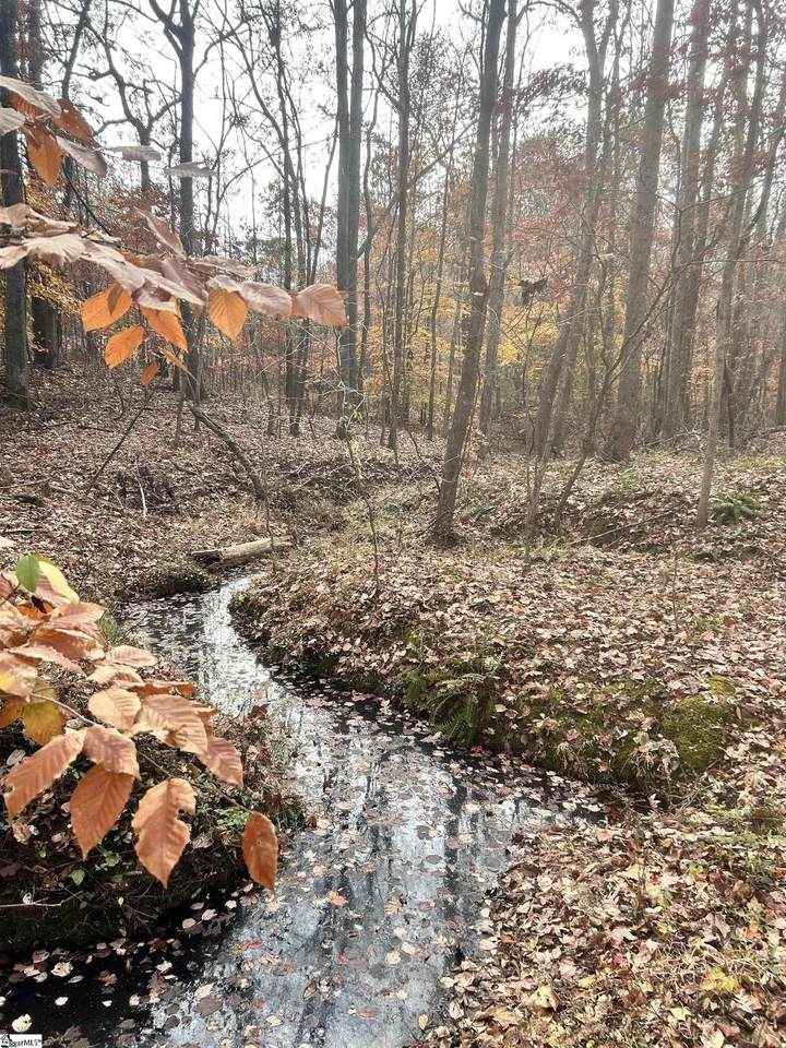 00 Harris Springs Road - Photo 1