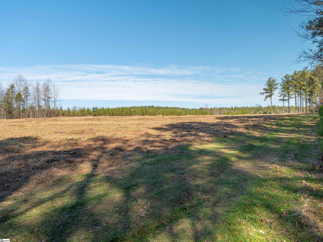 010 Mill Pine Road - Photo 1