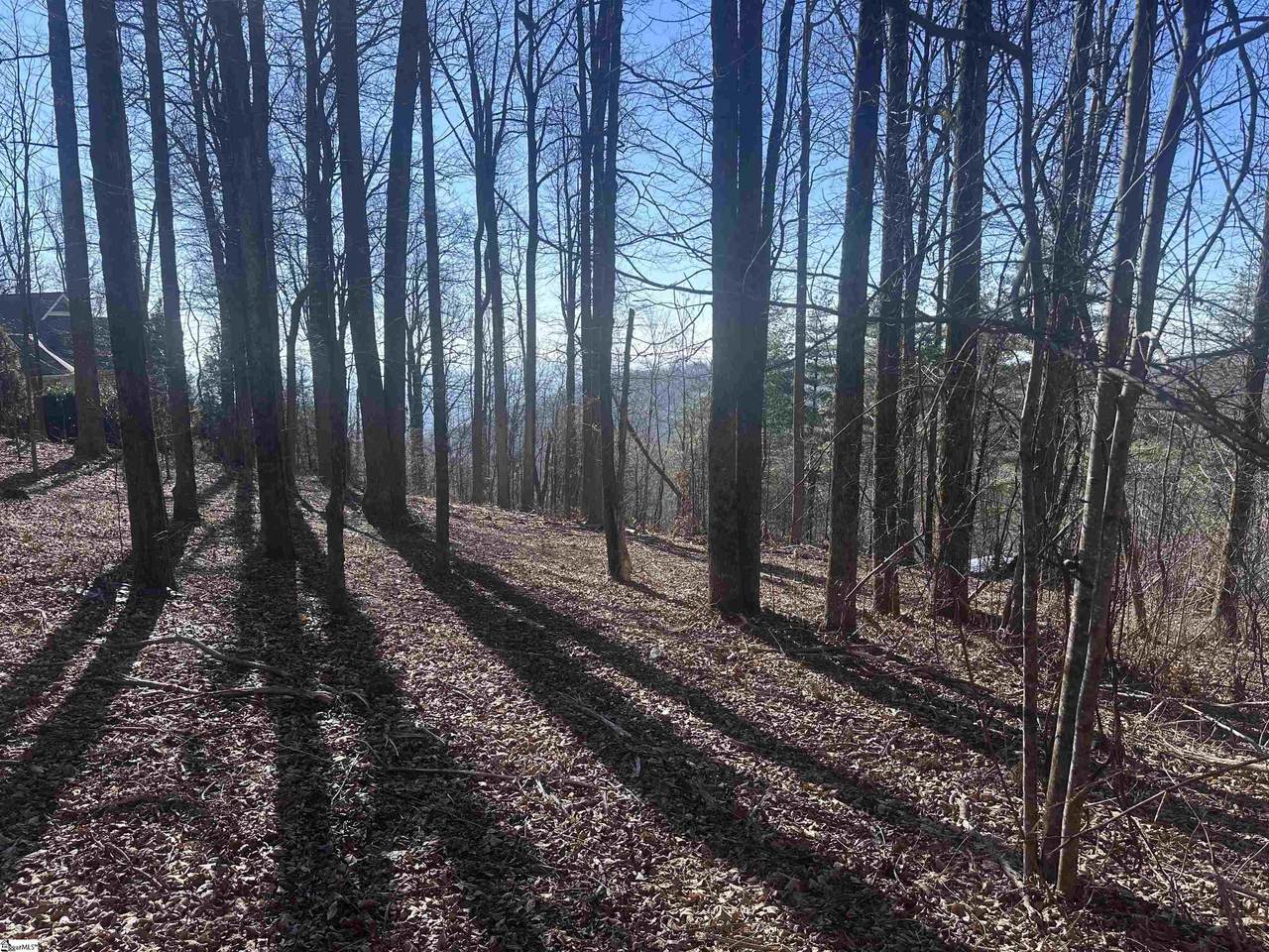 44 Wild Ginger Road - Photo 1