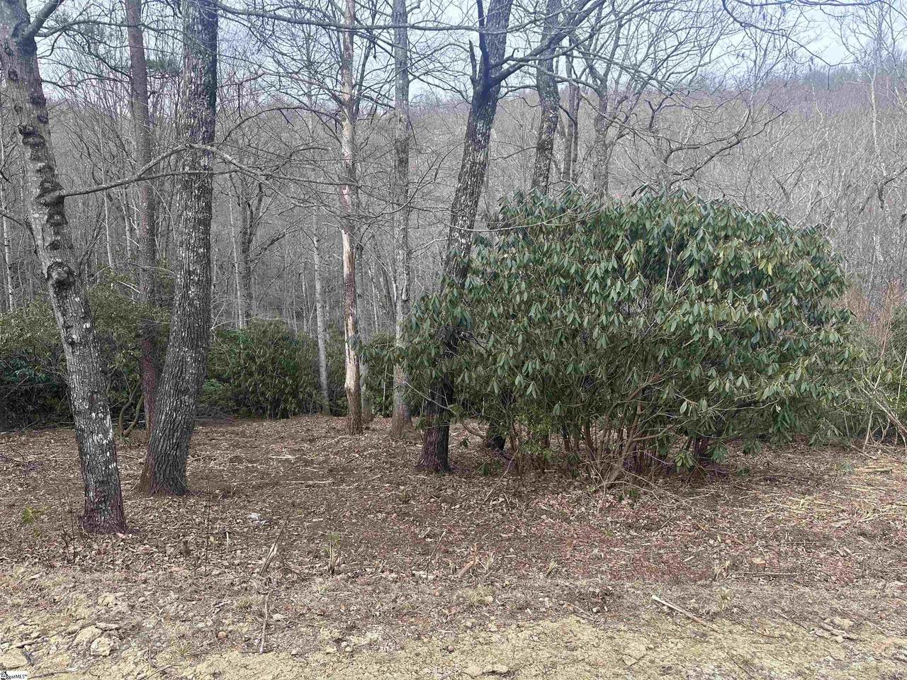 24 Blazing Star Trail - Photo 1