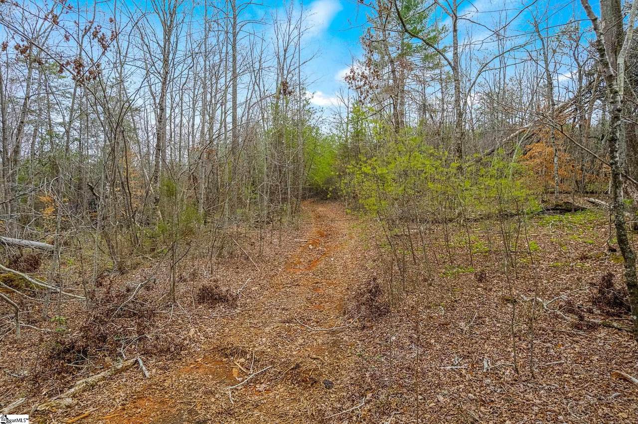 0000028a Tubbs Mountain Road - Photo 1