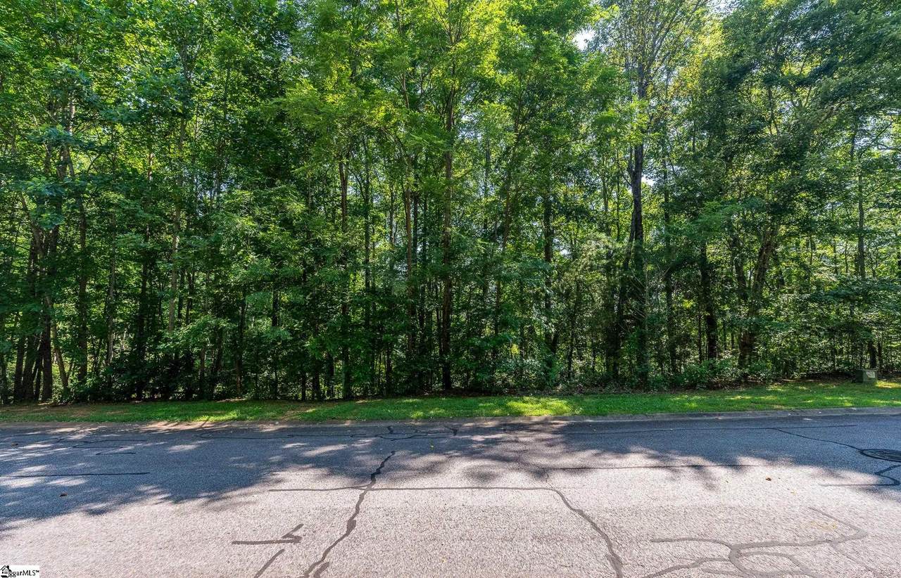 313 Laurel Valley Way - Photo 1