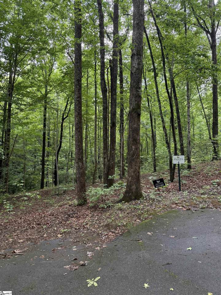 125 Cottage Side Trail - Photo 1