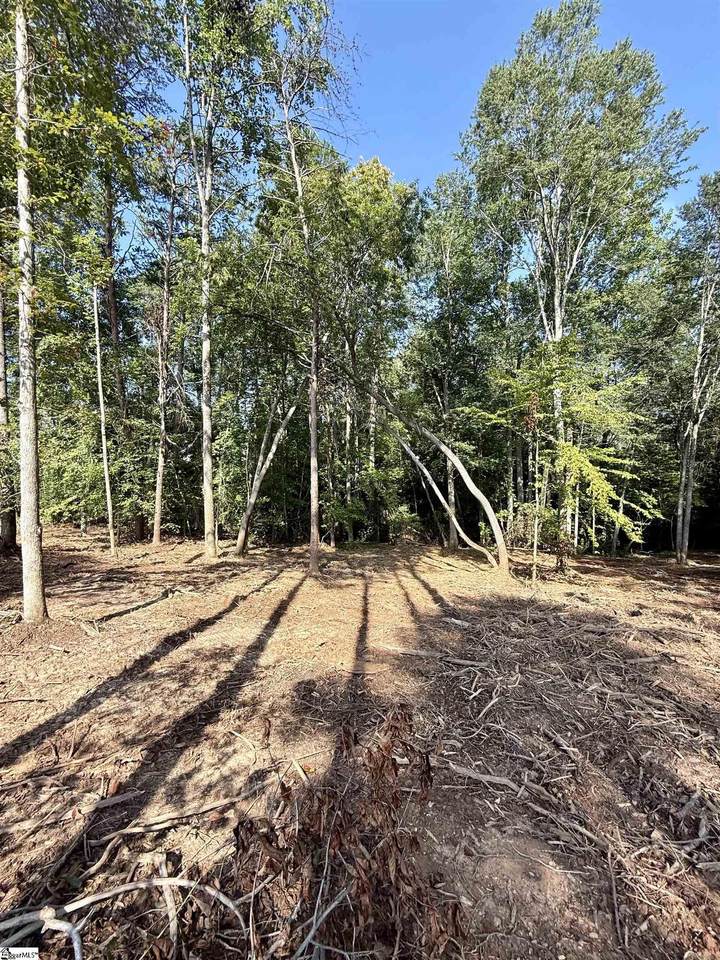 0 Thompson Road - Photo 1