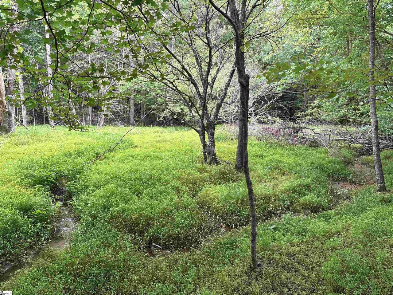 1087 Bobby Faucette Road - Photo 1