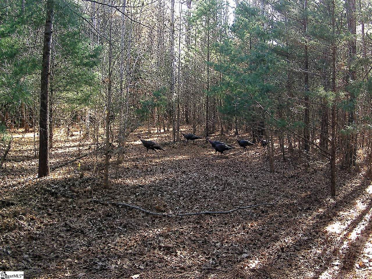 0 Simpson Mill Road - Photo 1