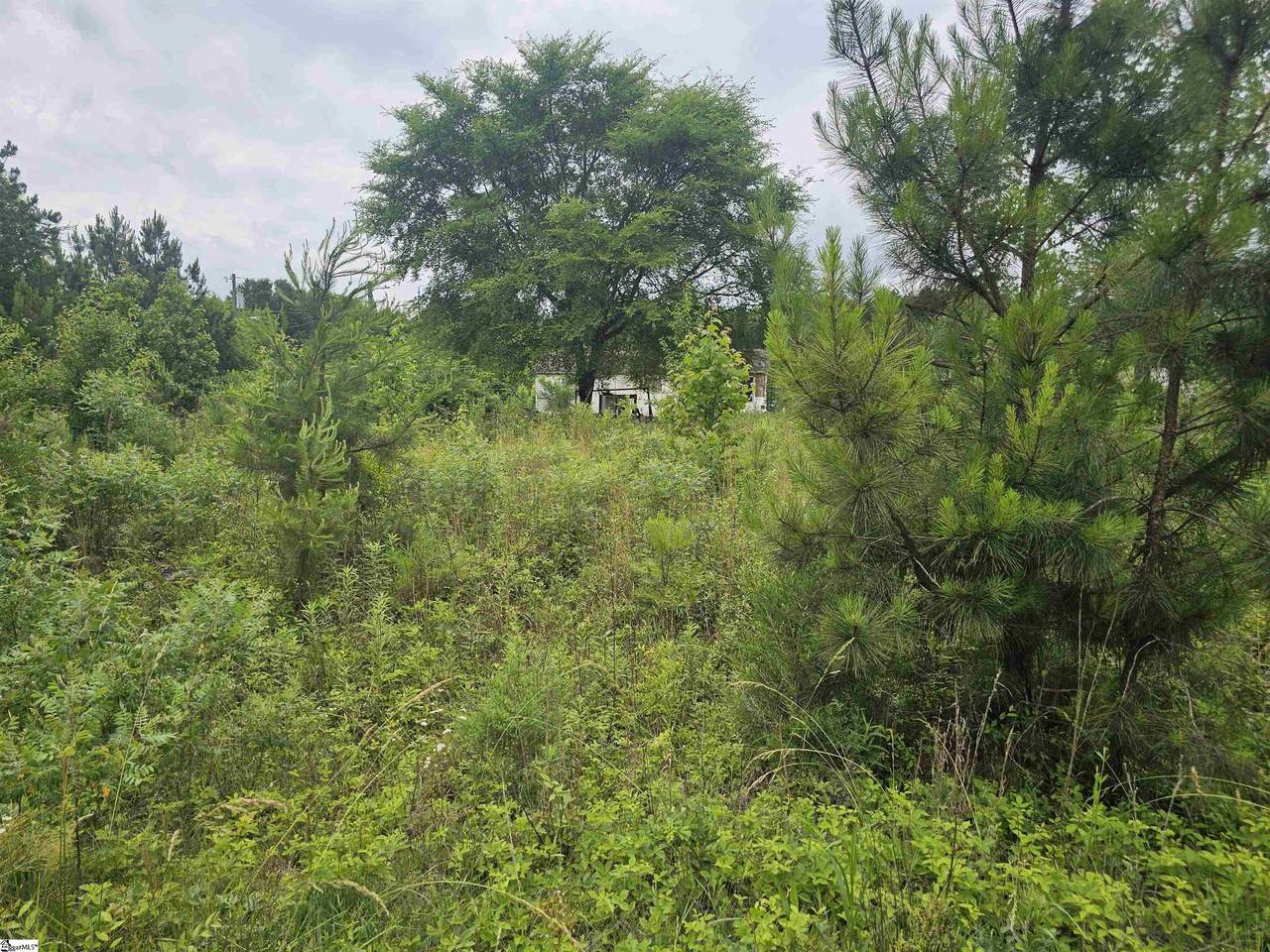 348 Dillon Drive - Photo 1