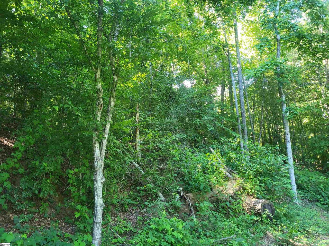 00 Hidden Valley Road - Photo 1