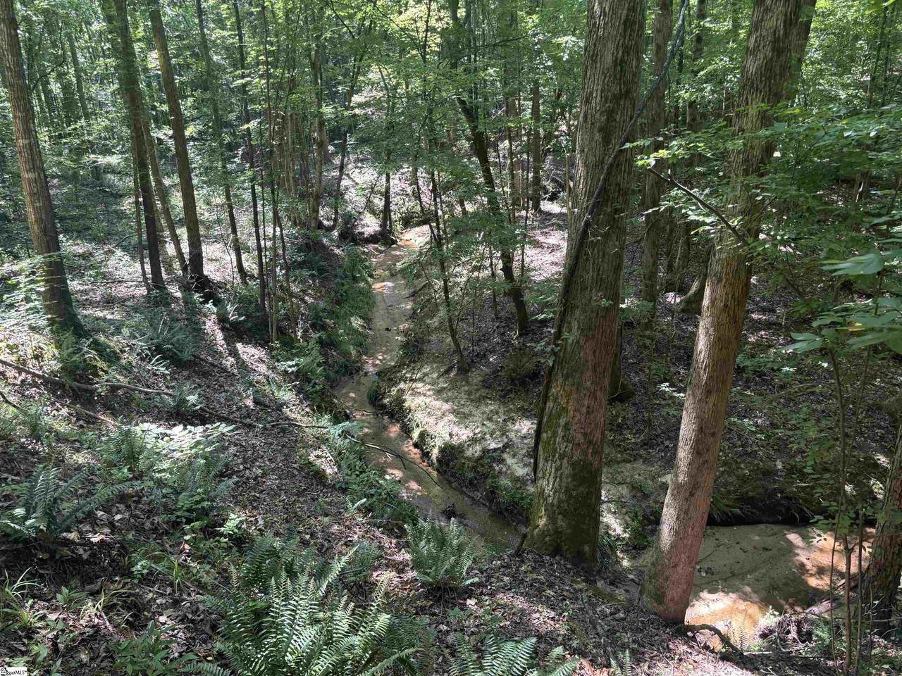  Old Calhoun Falls Road - Photo 1