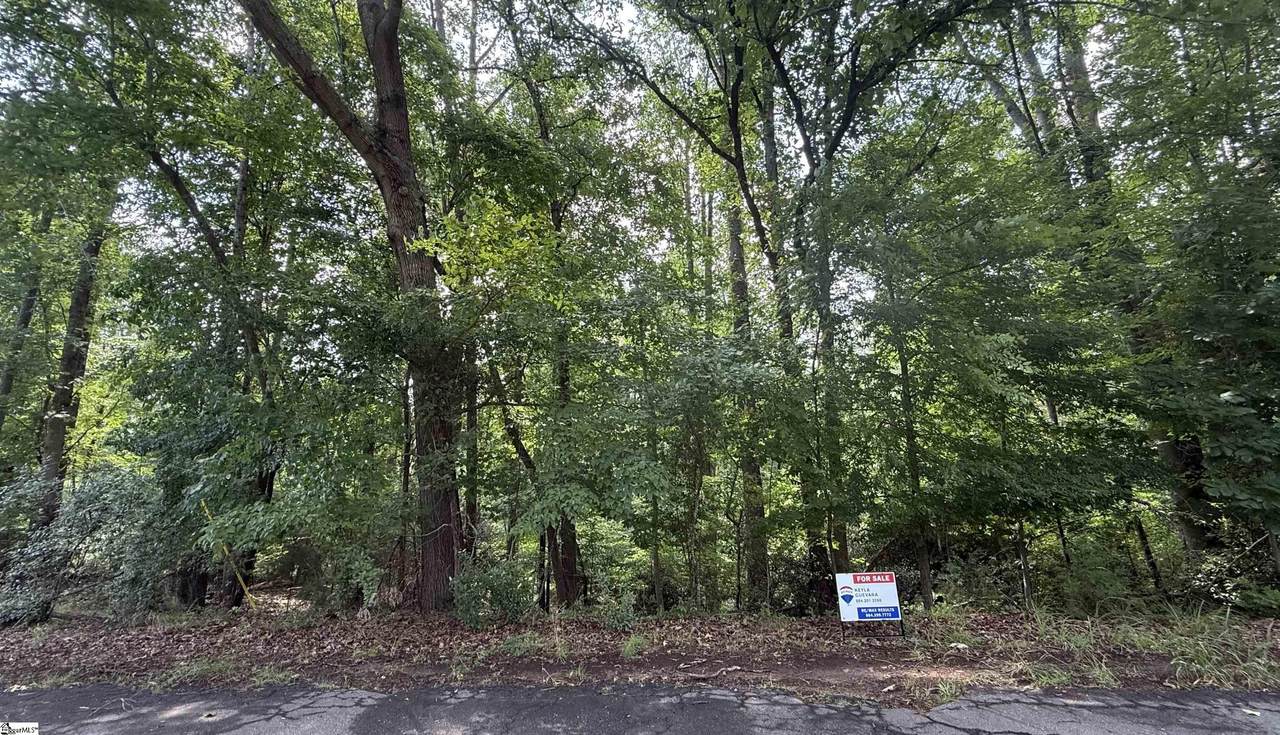 Lot 24 Mountain View Drive - Photo 1
