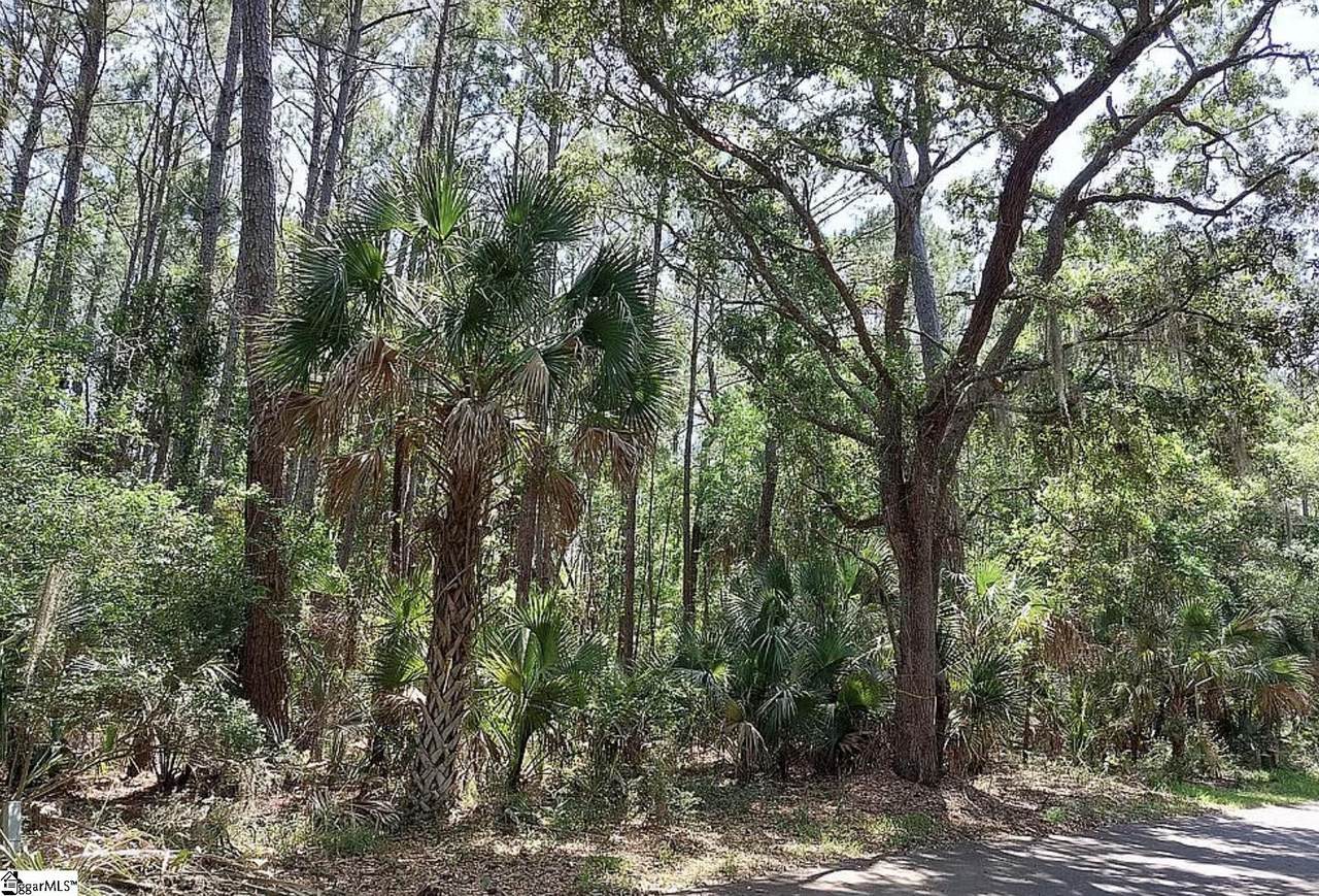 12 Sweetgrass Lane - Photo 1