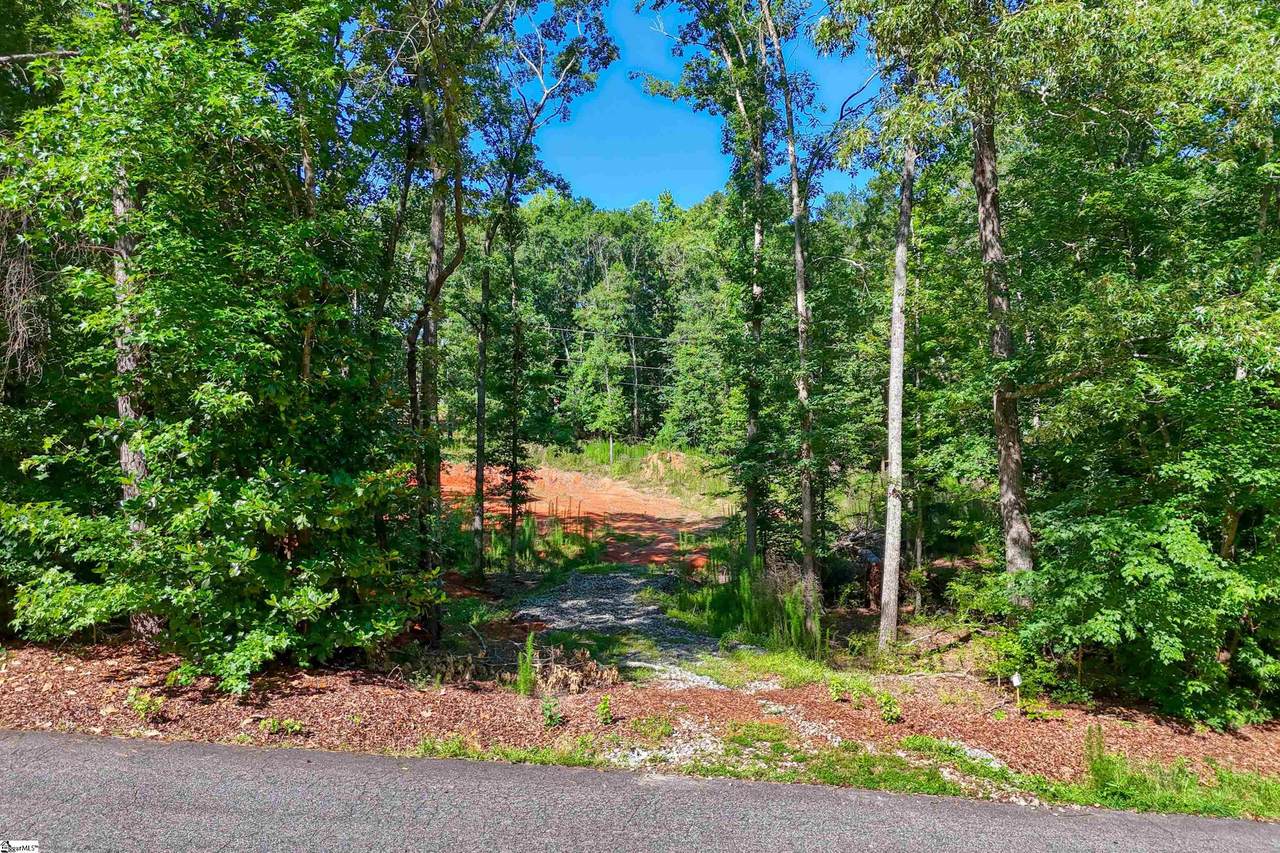 1020 Green Willow Trail - Photo 1