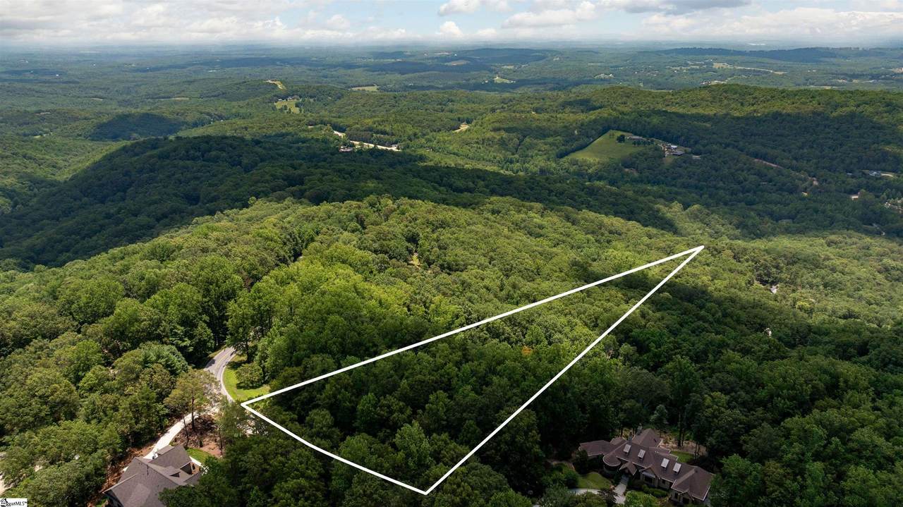 Lot 22 Plumley Summit Road - Photo 1