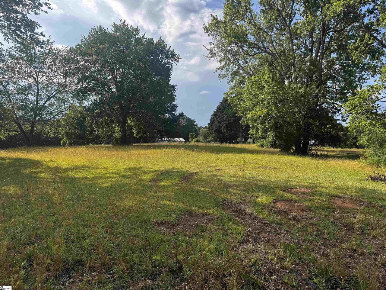 Lot 10 B Speer Lane - Photo 1