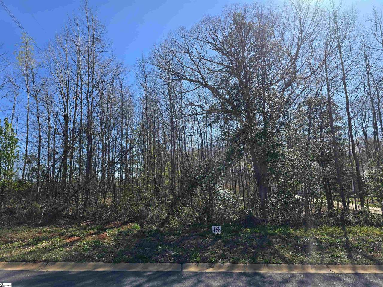 103 Lipizzaner Court - Photo 1