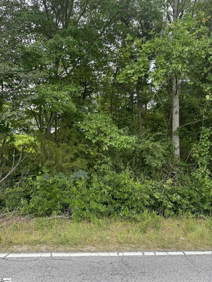 1599 Old Anderson Mill Road - Photo 1